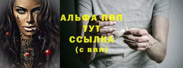 индика Баксан