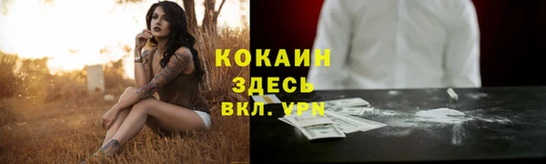 индика Баксан