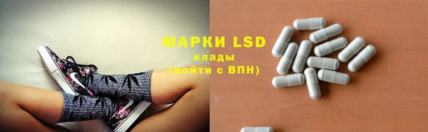 индика Баксан