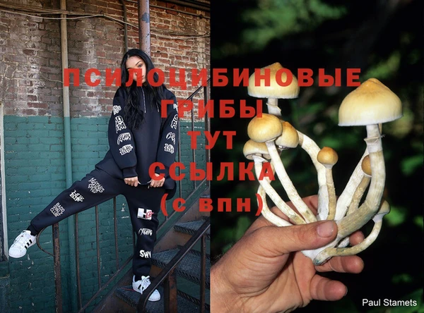 Альфа ПВП Балабаново