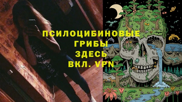 Альфа ПВП Балабаново