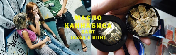гашик Тайга