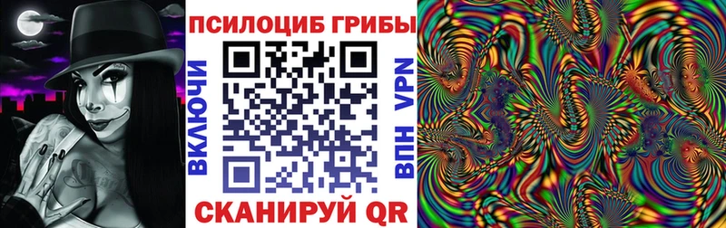 Псилоцибиновые грибы Psilocybe  mega вход  Ленинск  дарнет шоп 